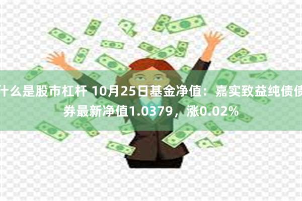 什么是股市杠杆 10月25日基金净值：嘉实致益纯债债券最新净值1.0379，涨0.02%