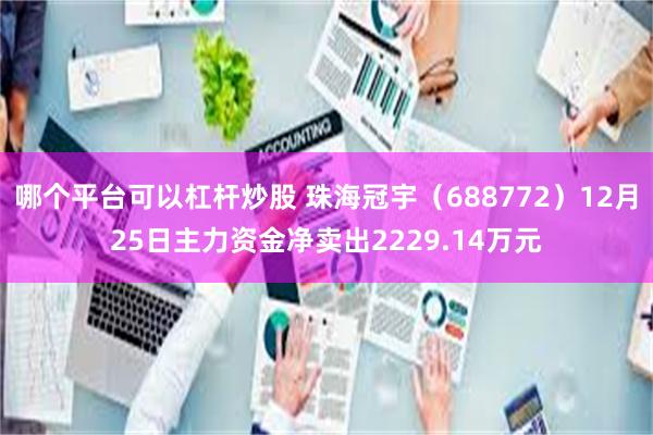 哪个平台可以杠杆炒股 珠海冠宇（688772）12月25日主力资金净卖出2229.14万元